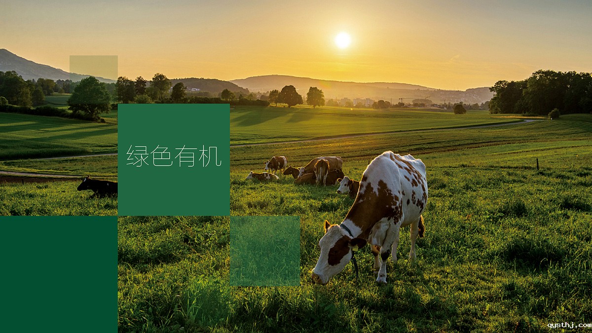 深圳品牌vi设计